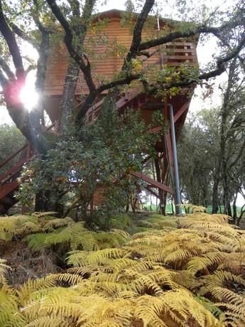 Imagen de Retuerta del Bullaque mapa 13194 2 