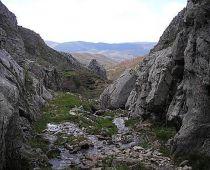 Imagen de Reyero mapa 24856 5 