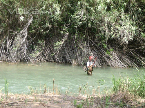 Imagen de Riba-roja de Túria mapa 46190 4 
