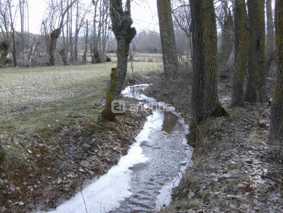 Imagen de Ribota mapa 40513 2 