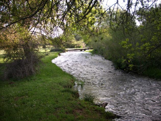 Imagen de Ribota mapa 40513 3 