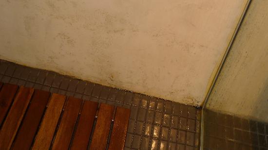 Imagen de Riu de Cerdanya mapa 25721 2 