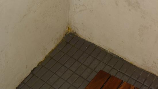 Imagen de Riu de Cerdanya mapa 25721 3 