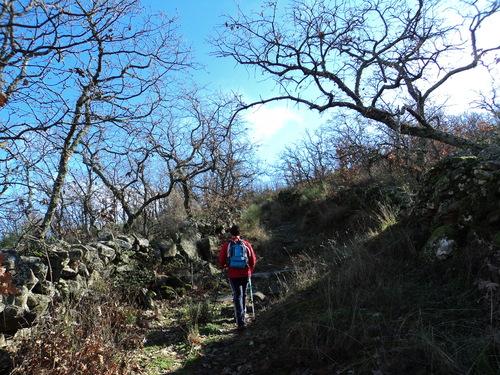 Imagen de Robledillo de Trujillo mapa 10269 4 