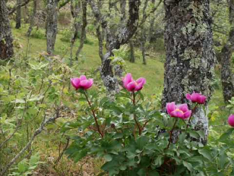 Imagen de Robledillo de Trujillo mapa 10269 6 