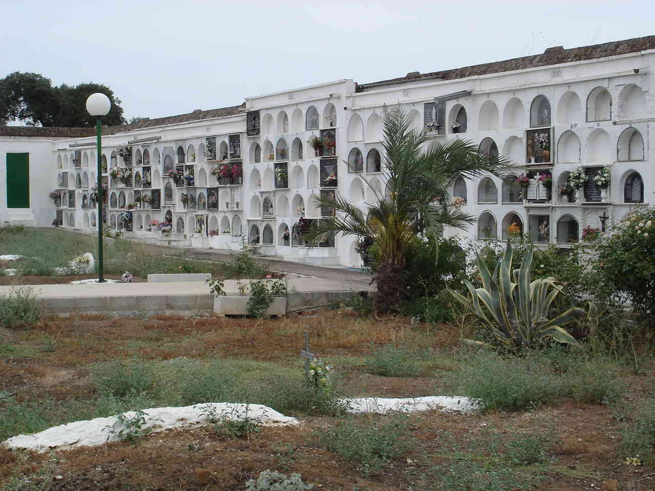 Imagen de Rosal de la Frontera mapa 21250 4 