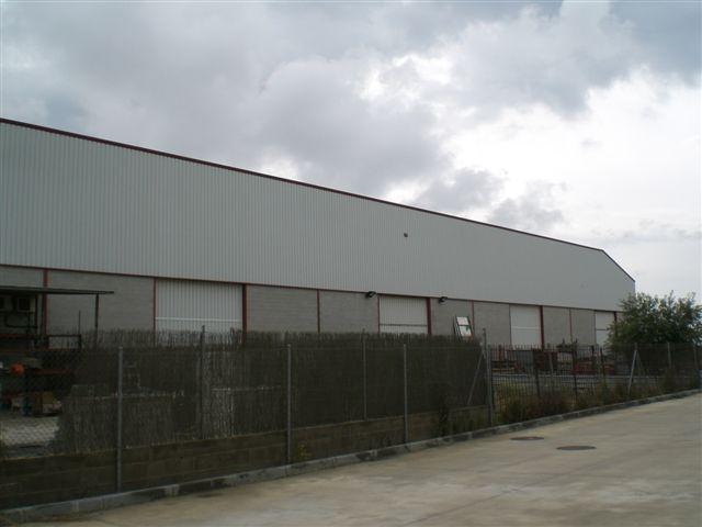 Imagen de Rosselló mapa 25124 2 