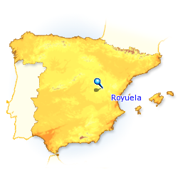 Imagen de Royuela mapa 44125 5 
