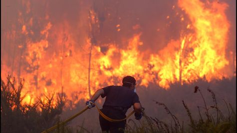 Imagen de Rubiá mapa 32310 4 