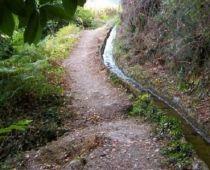 Imagen de Rubiá mapa 32310 5 