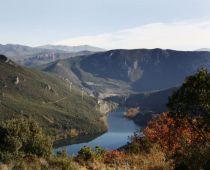 Imagen de Rubiá mapa 32310 6 