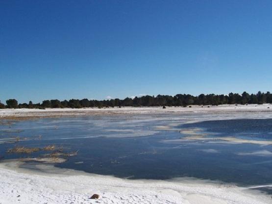 Imagen de Rubiales mapa 44121 3 