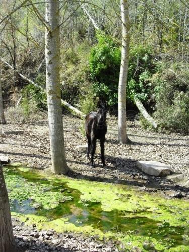 Imagen de Rubió mapa 08719 1 