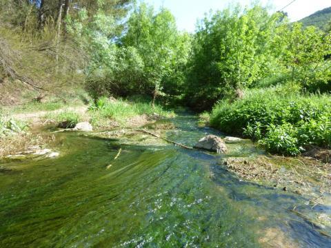 Imagen de Rubió mapa 08719 6 