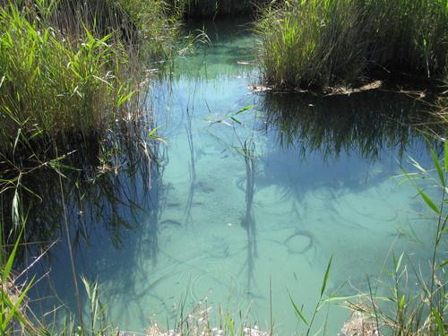 Imagen de Rueda de Jalón mapa 50295 2 