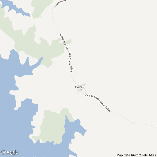 Imagen de Salce mapa 49211 1 