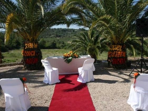 Imagen de Salomó mapa 43885 6 