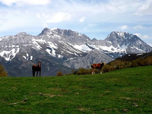 Imagen de San Emiliano mapa 24144 3 
