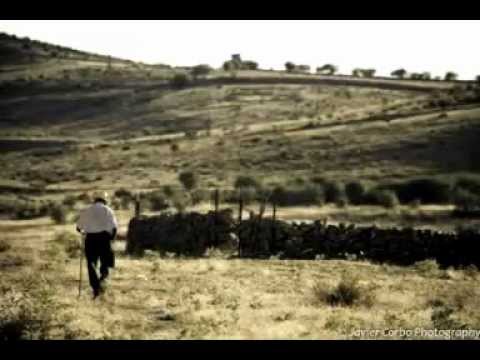 Imagen de San Juan del Olmo mapa 05145 4 