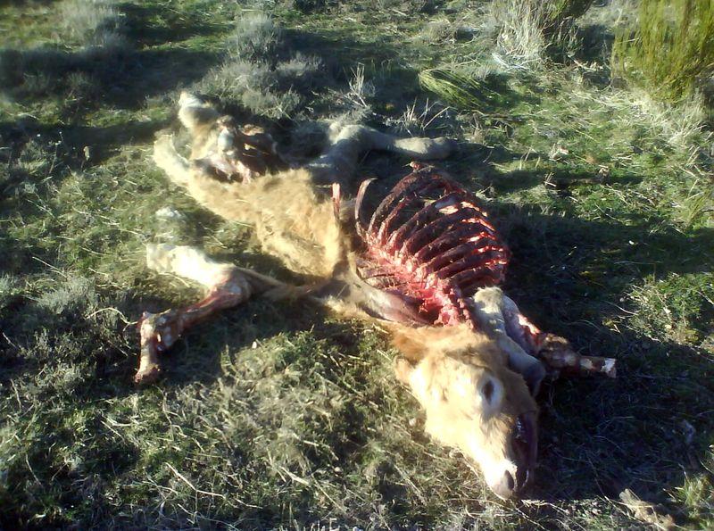 Imagen de San Juan del Olmo mapa 05145 5 