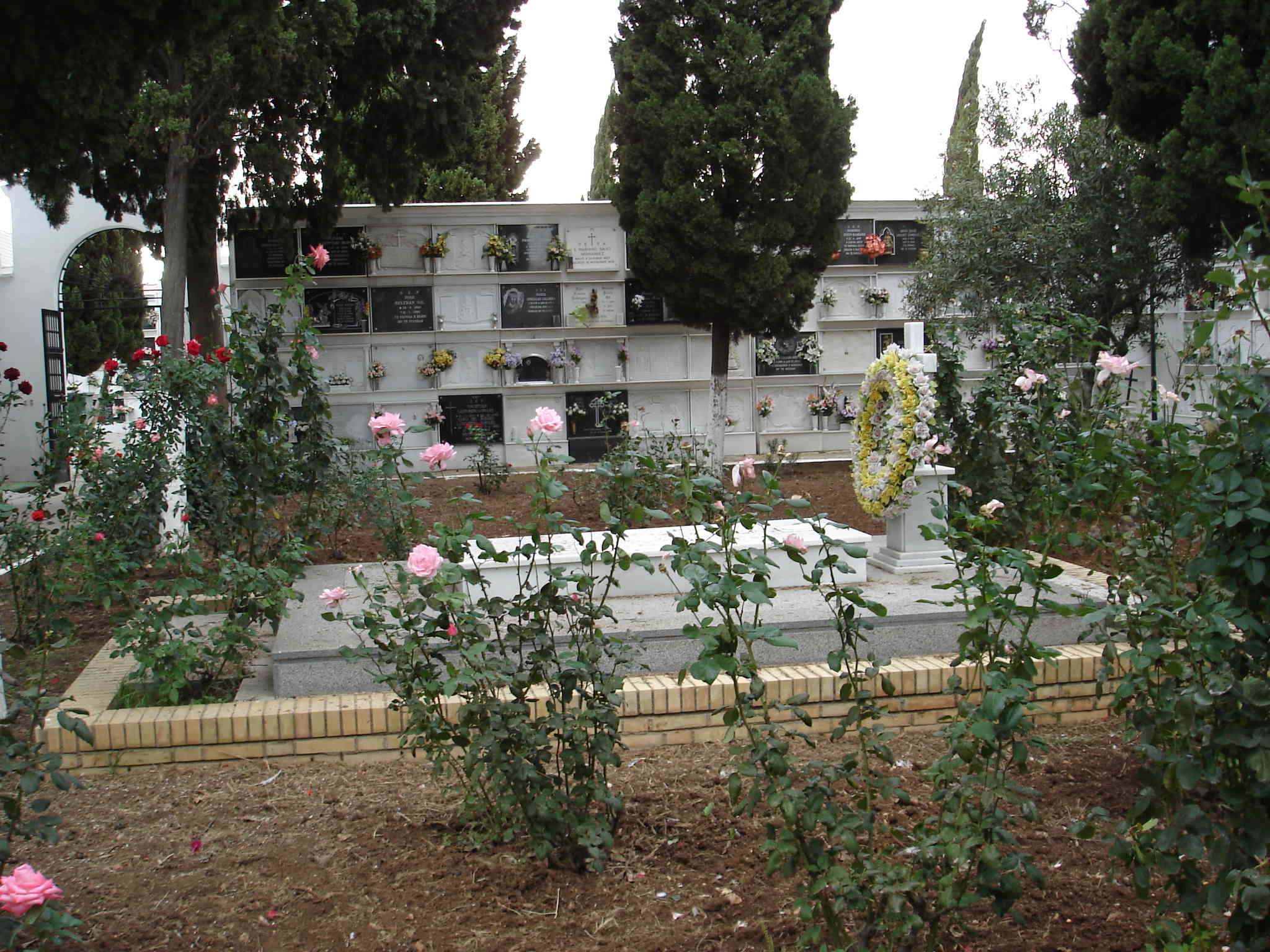 Imagen de San Juan del Puerto mapa 21610 4 