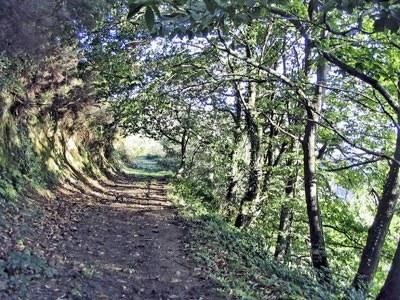 Imagen de San Martín del Rey Aurelio mapa 33791 2 