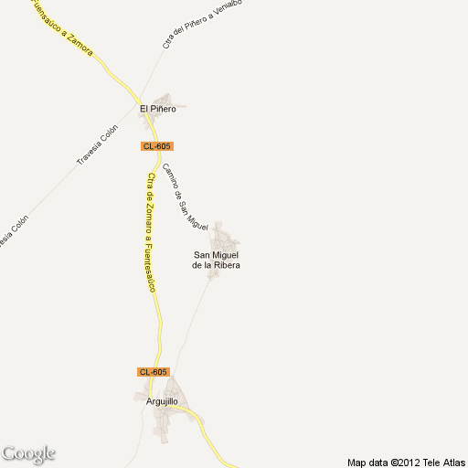 Imagen de San Miguel de la Ribera mapa 49717 1 