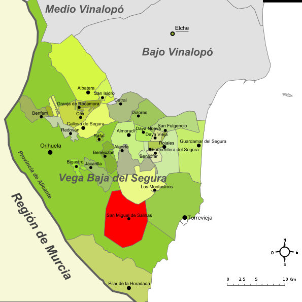 Imagen de San Miguel de Salinas mapa 03193 3 