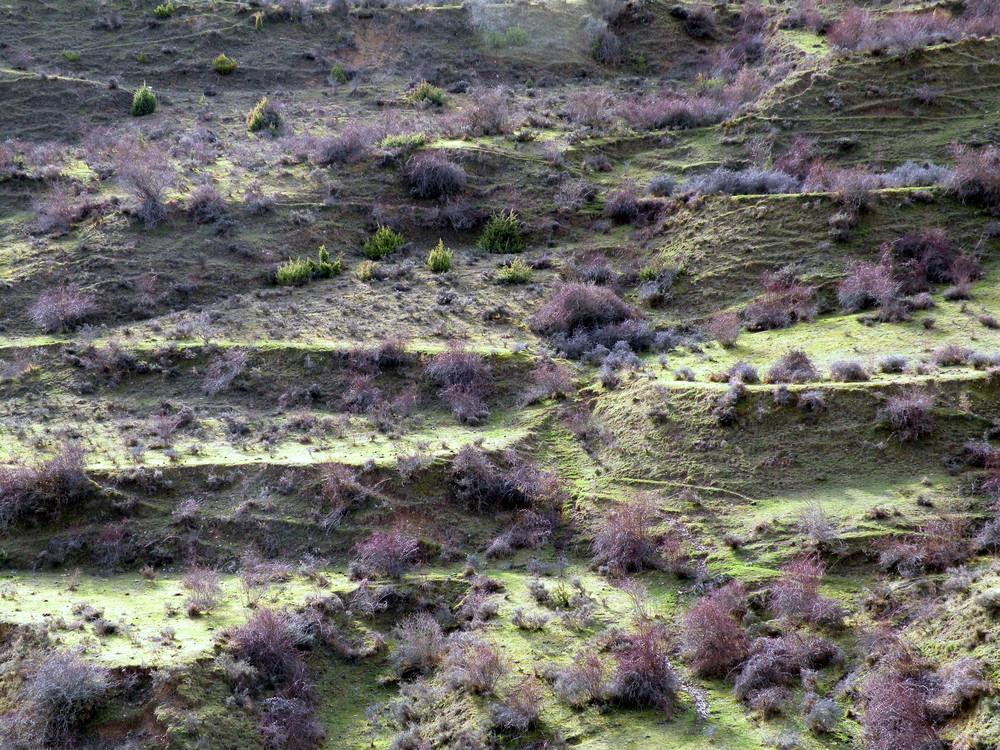 Imagen de San Román de Cameros mapa 26133 6 