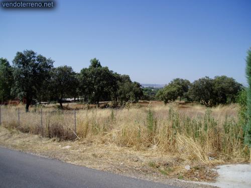 Imagen de San Román de los Montes mapa 45646 5 