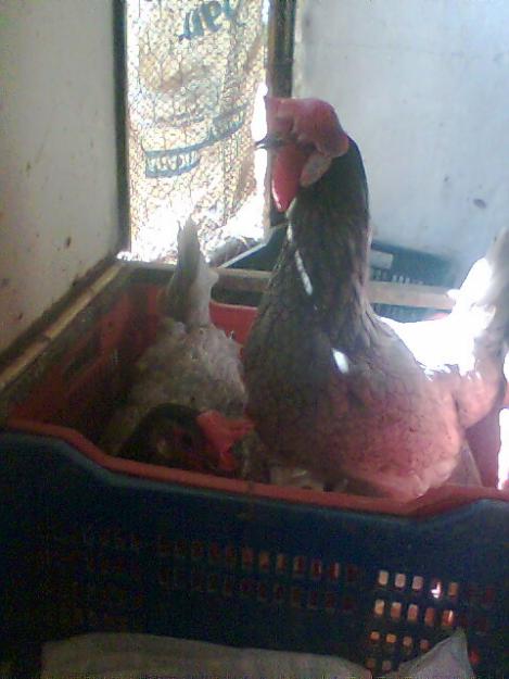 Imagen de San Sebastián de los Ballesteros mapa 14150 6 