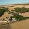 Imagen de San Vicente de Arévalo mapa 05217 6 
