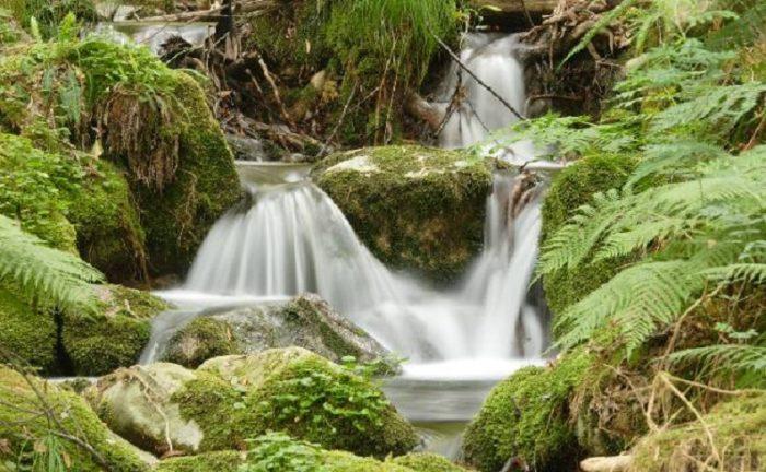 Imagen de San Xoán de Río mapa 32770 2 