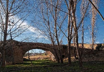 Imagen de Sanaüja mapa 25753 3 