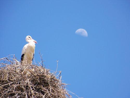 Imagen de Sancti-Spíritus mapa 06655 4 