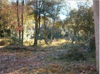 Imagen de Sant Aniol de Finestres mapa 17154 4 