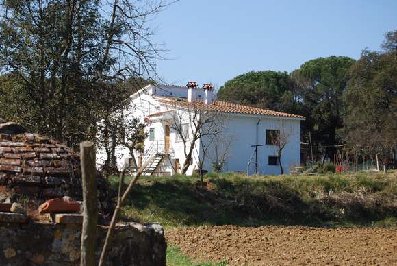 Imagen de Sant Feliu de Buixalleu mapa 17451 6 