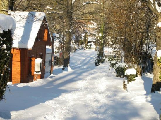 Imagen de Sant Pau de Segúries mapa 17864 2 