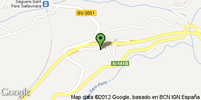 Imagen de Sant Pere Sallavinera mapa 08281 6 