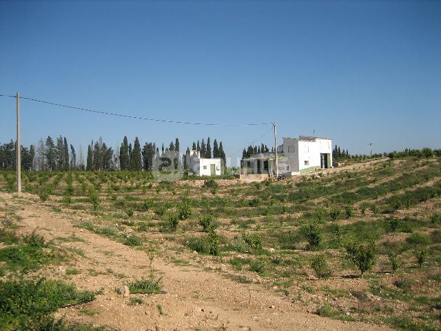 Imagen de Santa Bàrbara mapa 43570 2 
