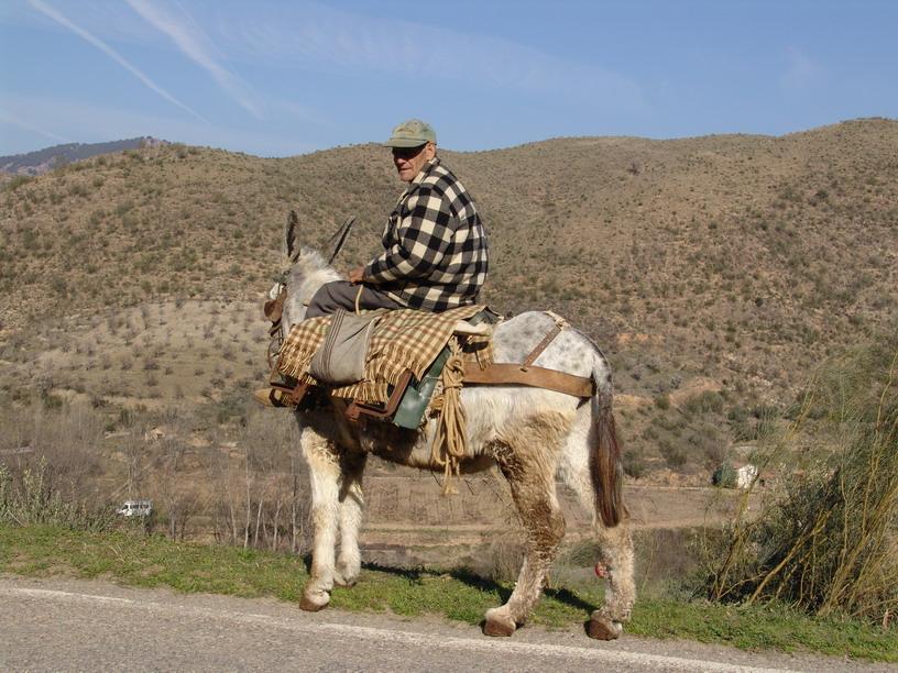 Imagen de Santa Cruz de Grío mapa 50324 4 