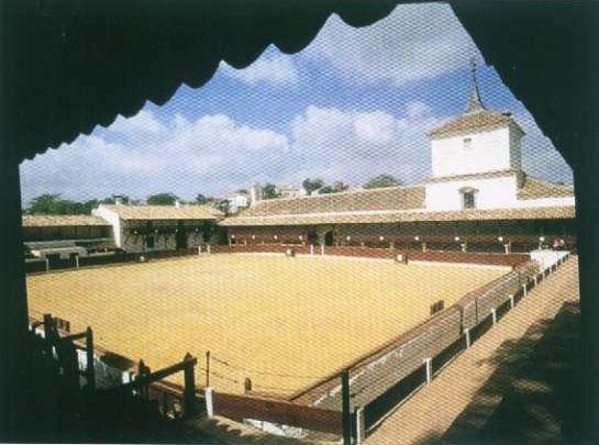 Imagen de Santa Cruz de Mudela mapa 13730 6 