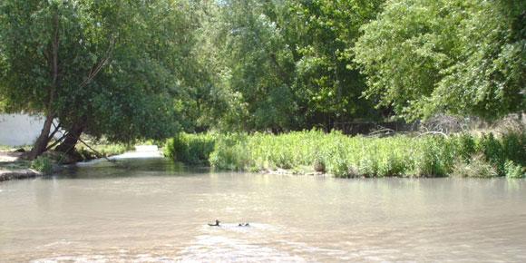 Imagen de Santa Cruz del Comercio mapa 18129 6 