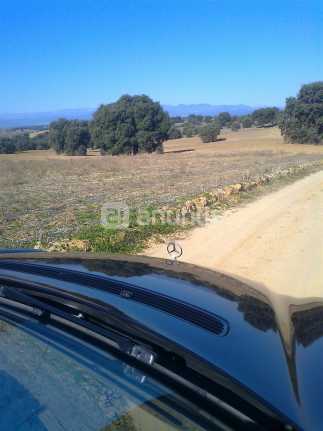 Imagen de Santa Cruz del Retamar mapa 45513 3 