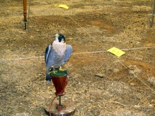 Imagen de Santa Elena de Jamuz mapa 24762 4 