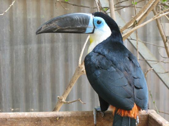 Imagen de Santa Eugènia mapa 07142 5 