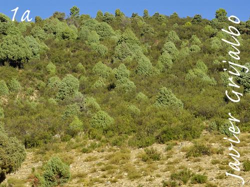 Imagen de Santa María de la Alameda mapa 28296 6 