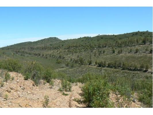 Imagen de Santiago de Alcántara mapa 10510 5 