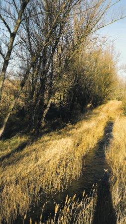 Imagen de Santibáñez de Esgueva mapa 09350 4 