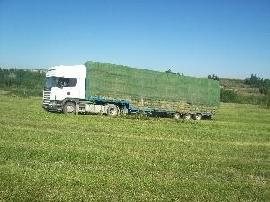 Imagen de Sariñena mapa 22200 6 